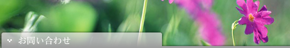 お問い合わせ